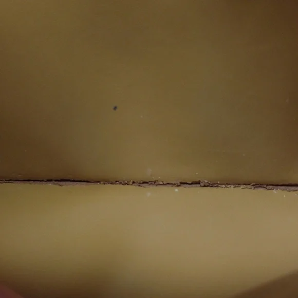 Coach Hayden Foldover Crossbody Clutch Bag - Picture 6 of 11